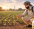 The Role of Seed Treatments in Sustainable Farming Practices
